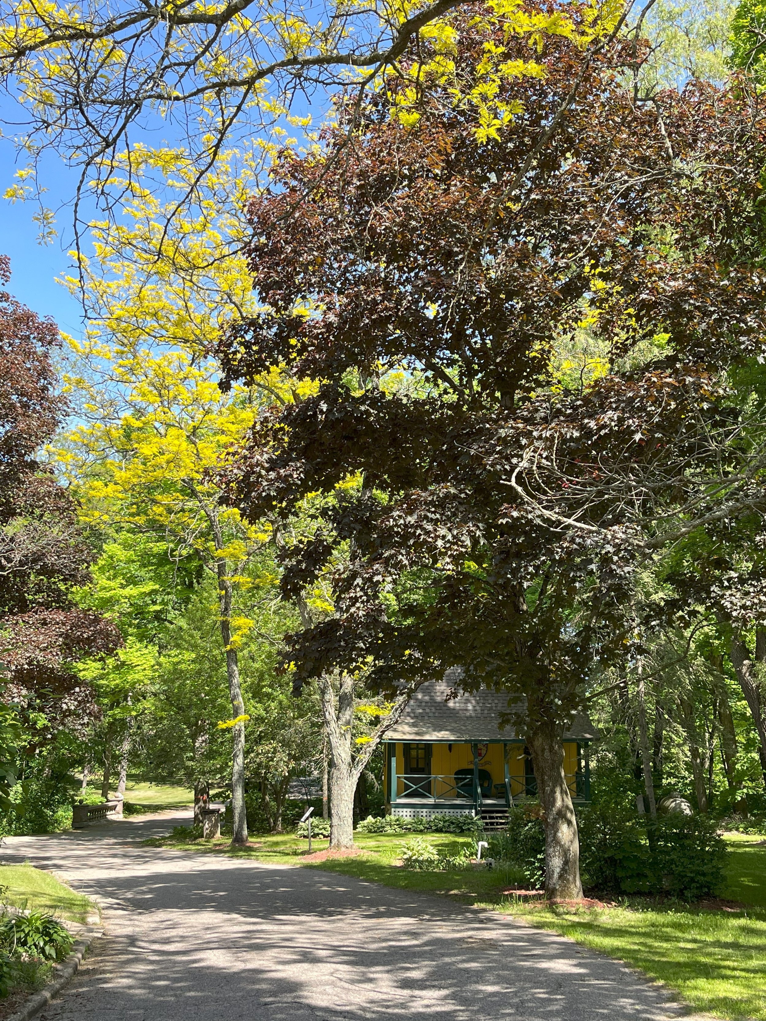 Fall foliage along the glen trails
